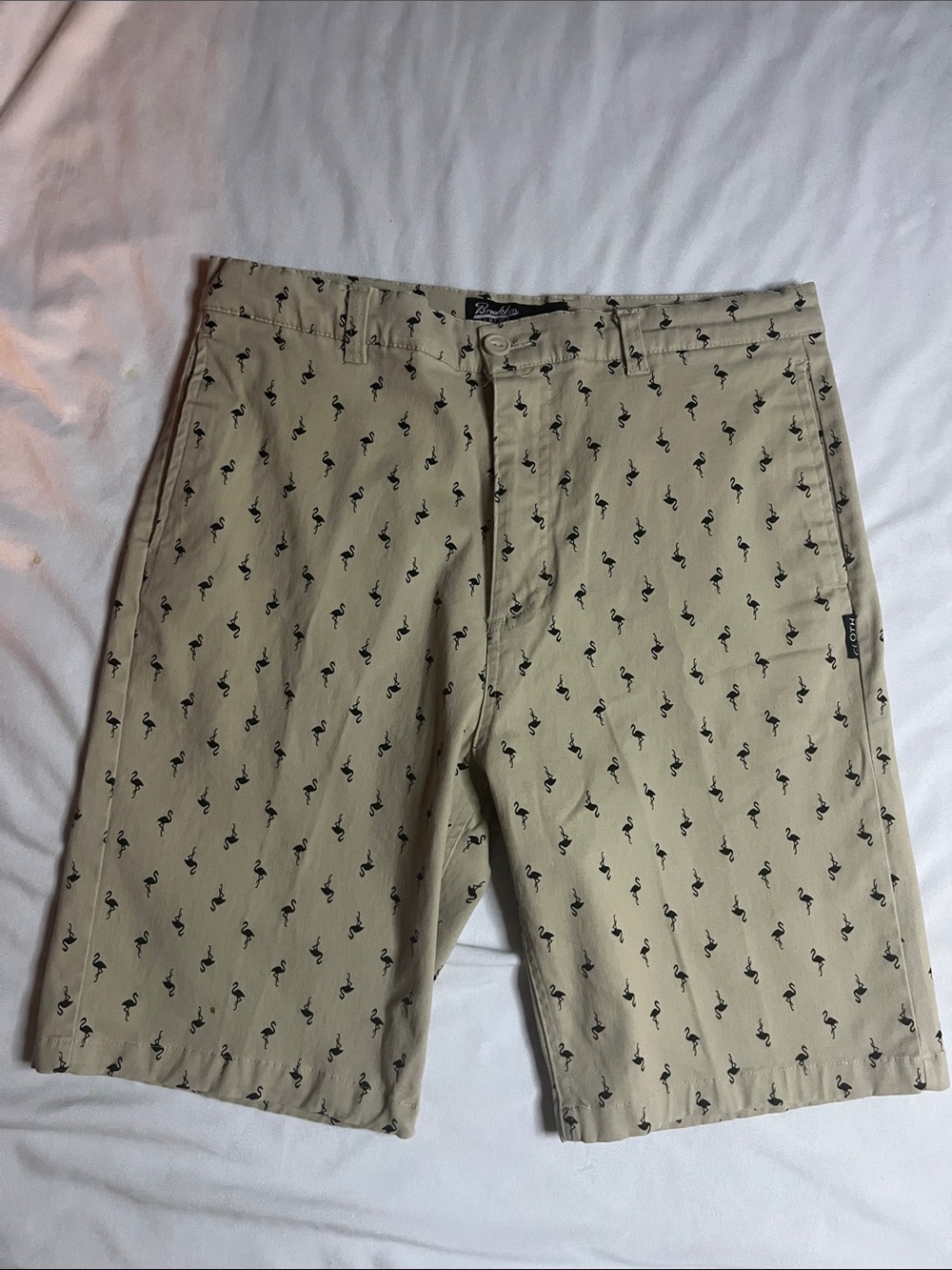 Brooklyn Cloth Flamingo Chino Shorts